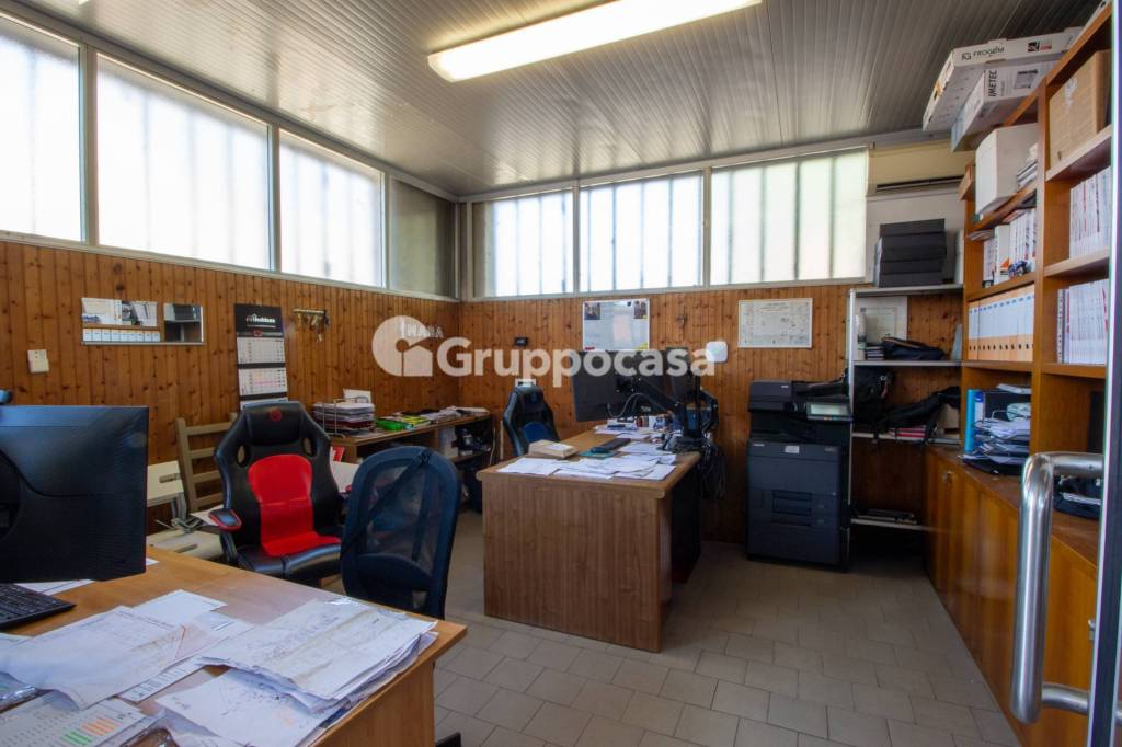 immagine annuncio 12 di 15
