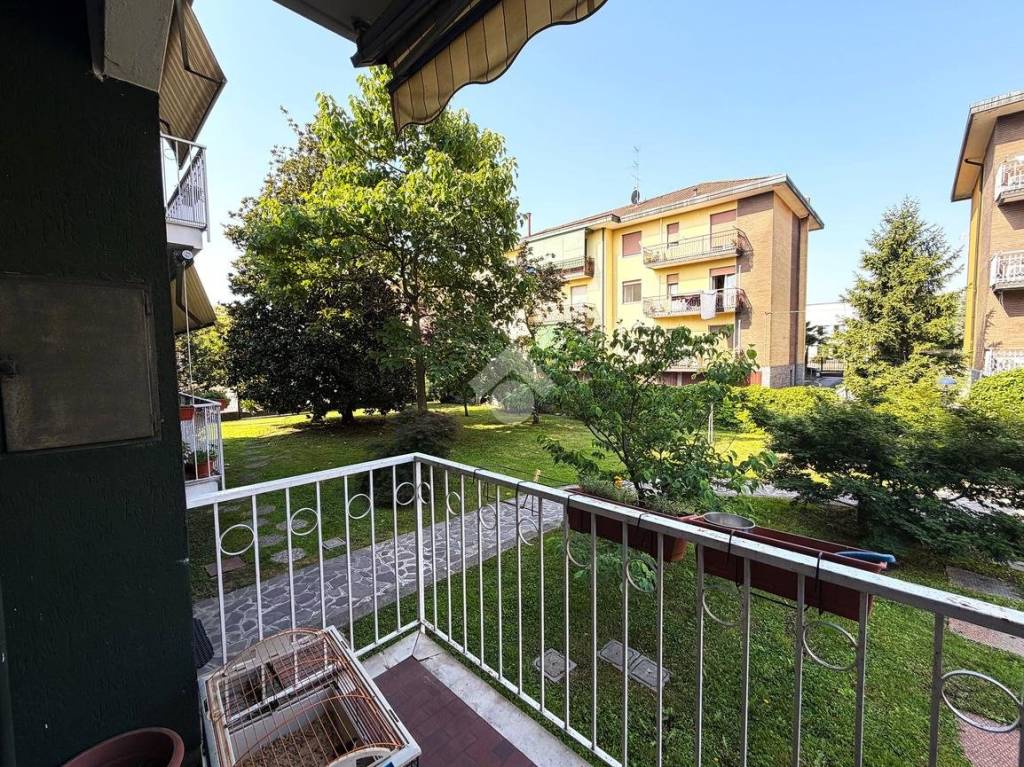 immagine annuncio 8 di 15