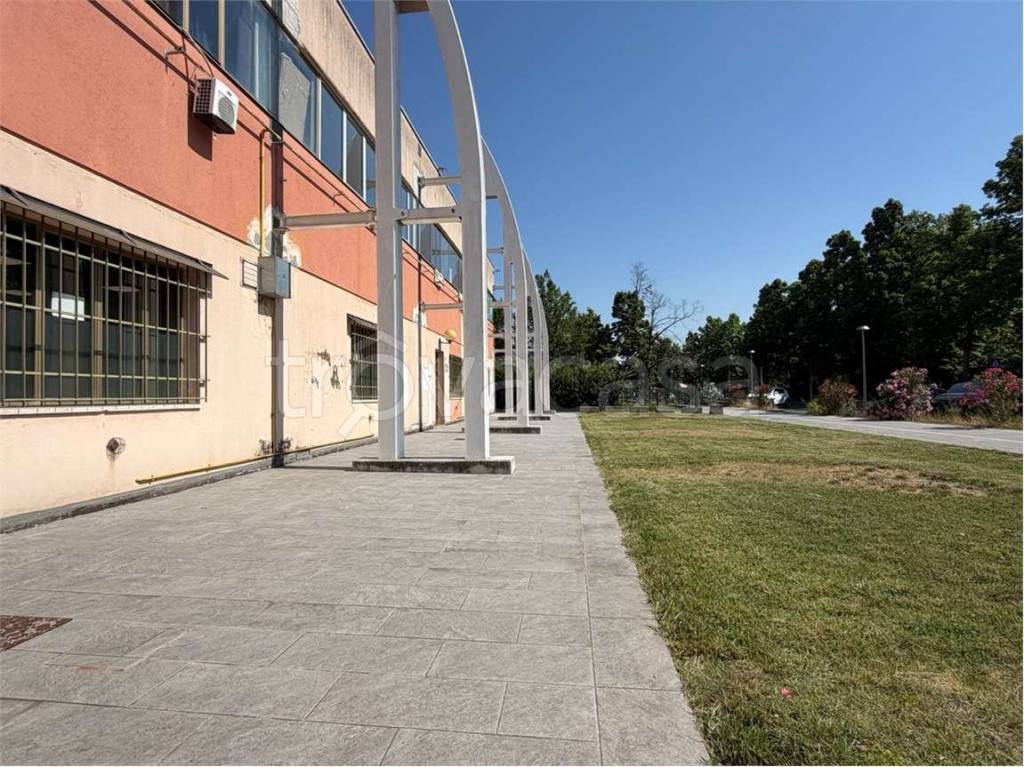 immagine annuncio 1 di 9