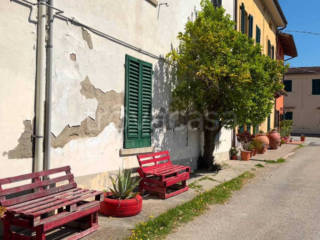 immagine annuncio 1 di 14