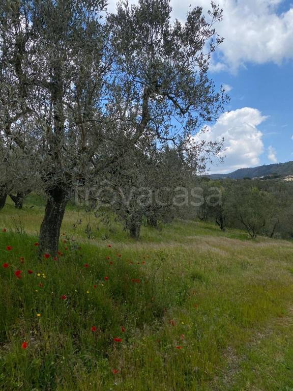 immagine annuncio 7 di 14