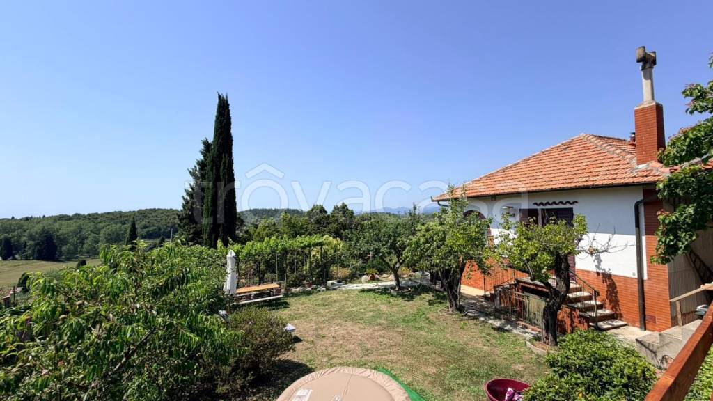 immagine annuncio 6 di 14