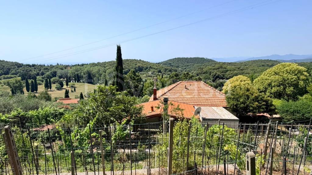 immagine annuncio 10 di 14
