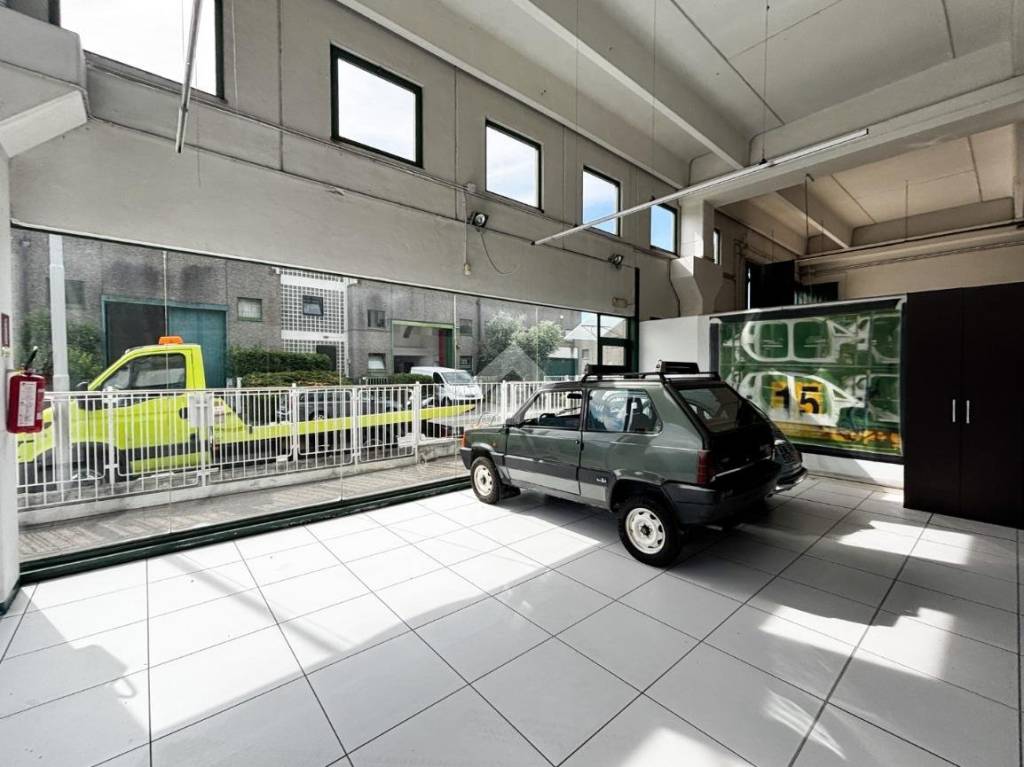 immagine annuncio 3 di 15