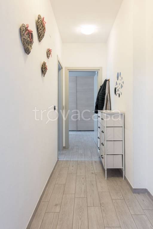 immagine annuncio 5 di 12