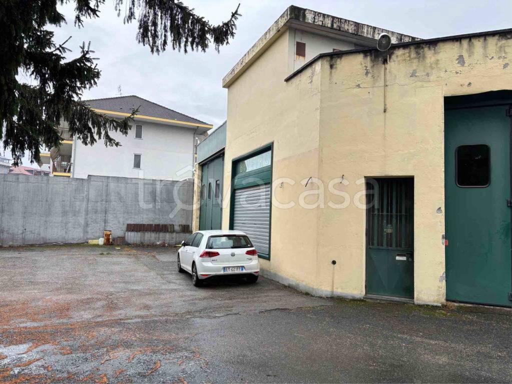 immagine annuncio 11 di 12
