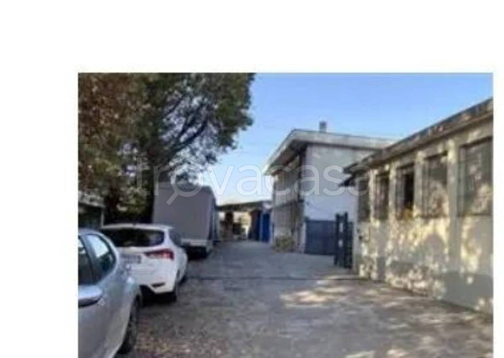 immagine annuncio 10 di 11