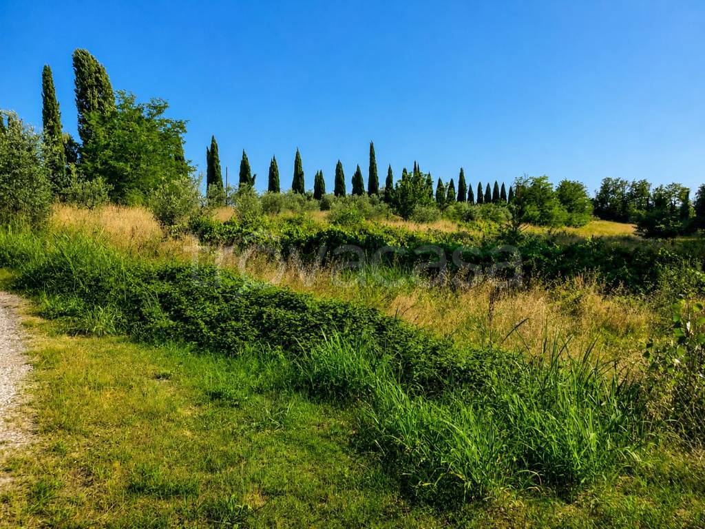 immagine annuncio 6 di 8