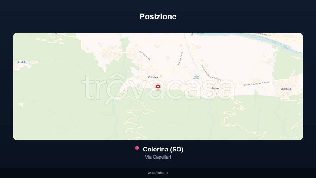 immagine annuncio 12 di 15