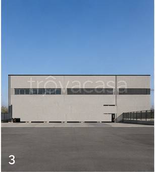 immagine annuncio 2 di 14
