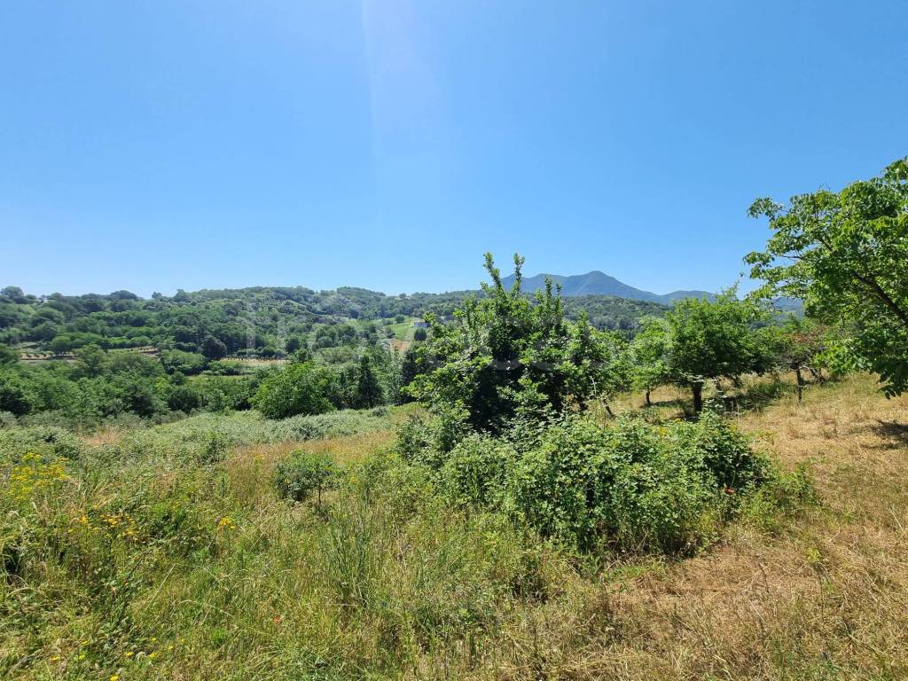 immagine annuncio 2 di 6