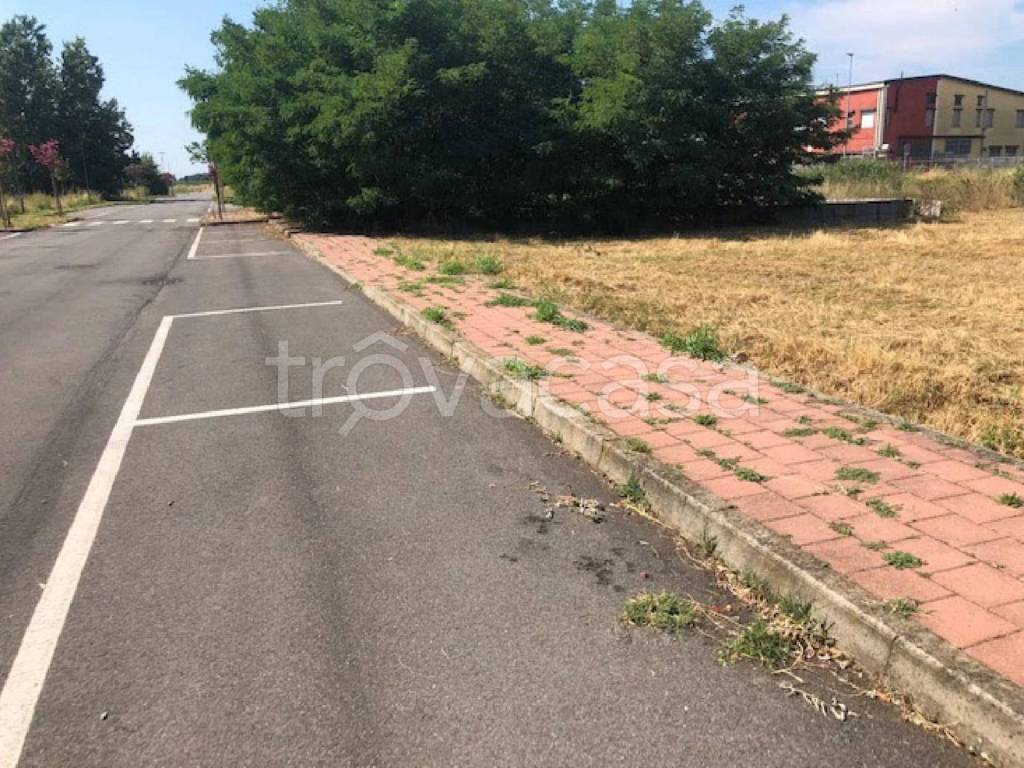 immagine annuncio 3 di 10