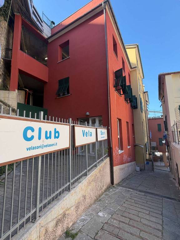 immagine annuncio 12 di 14