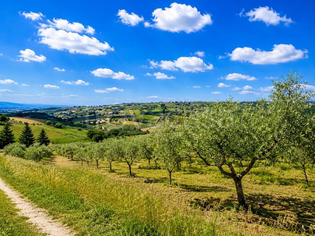 immagine annuncio 3 di 4