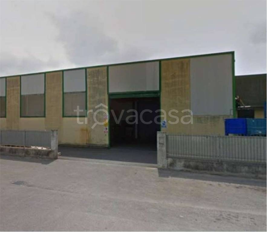 immagine annuncio 2 di 12