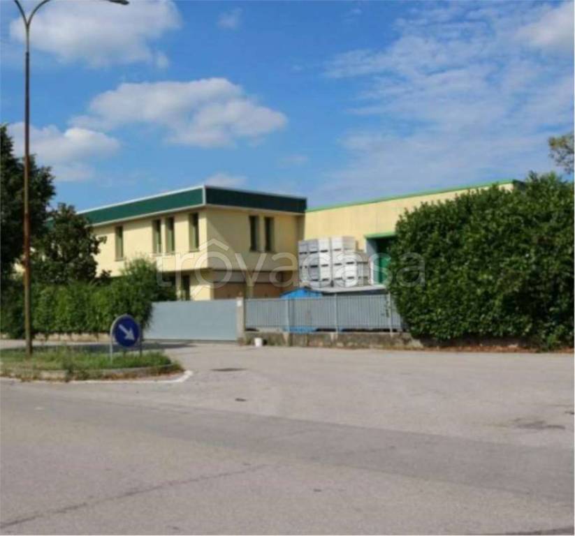 immagine annuncio 3 di 12