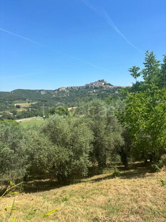 immagine annuncio 3 di 7