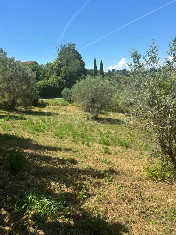 immagine annuncio 4 di 7