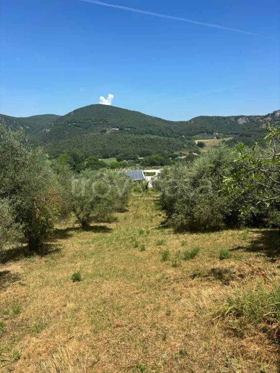 immagine annuncio 5 di 7