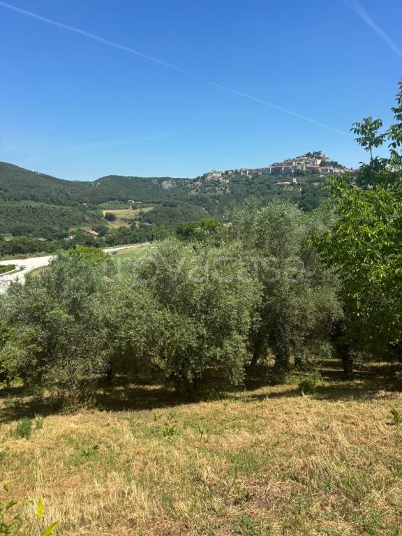 immagine annuncio 6 di 7