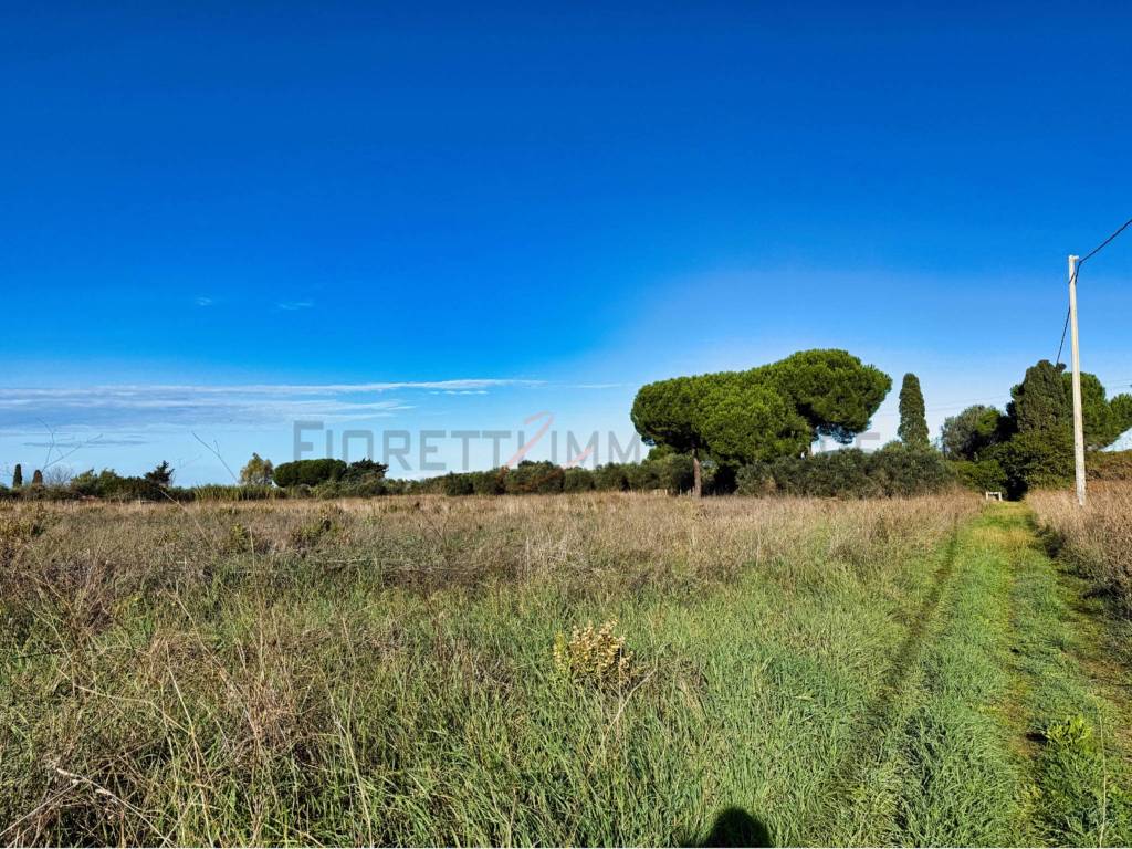 immagine annuncio 2 di 14