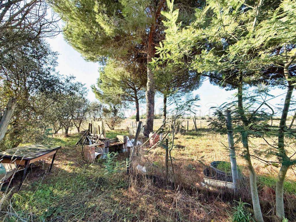 immagine annuncio 8 di 14