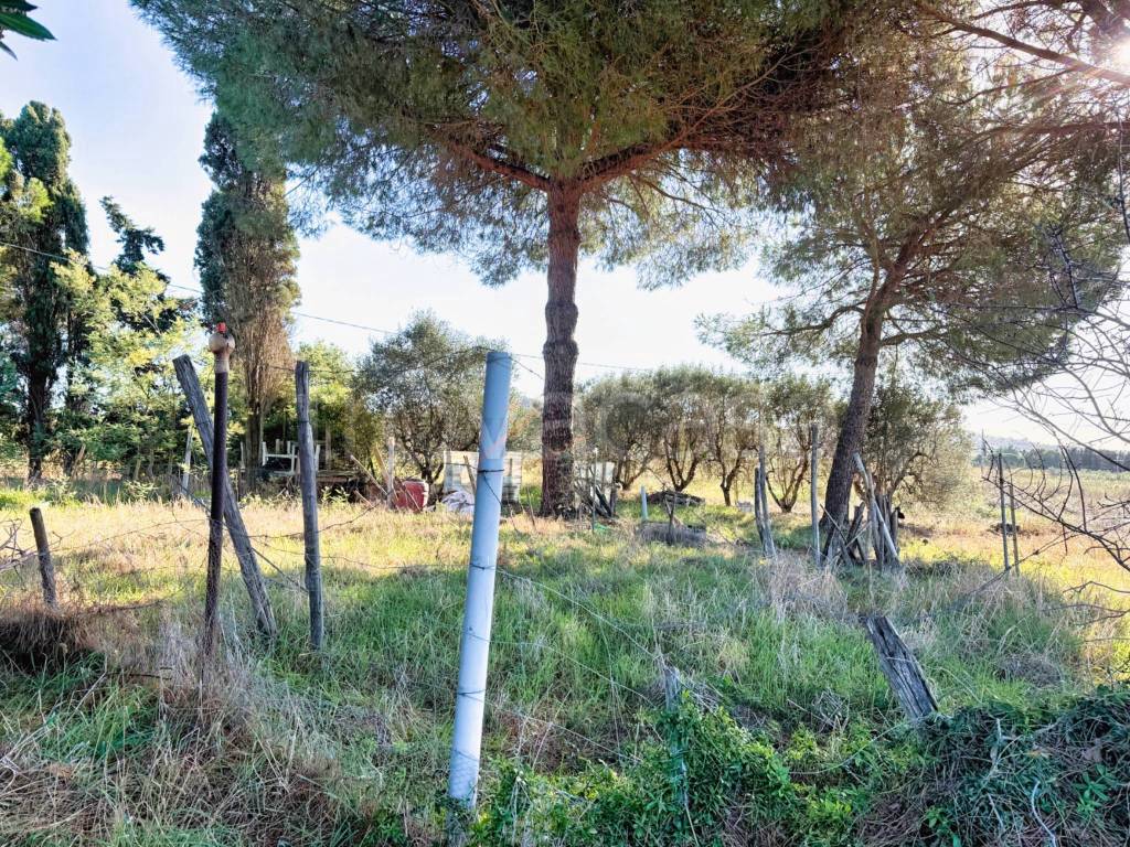 immagine annuncio 13 di 14