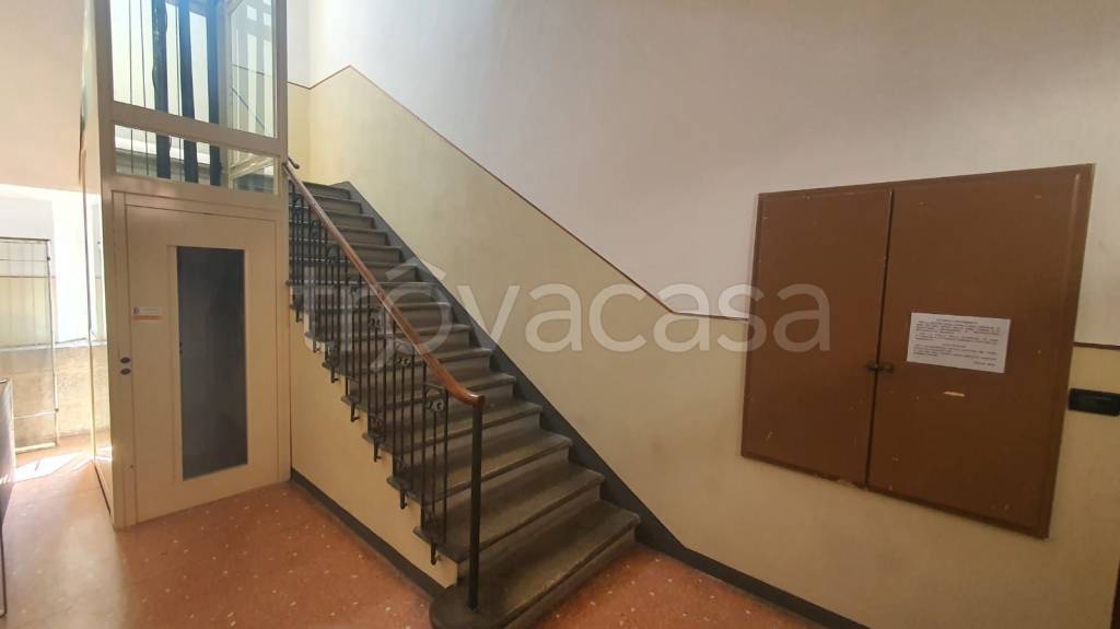 immagine annuncio 11 di 14
