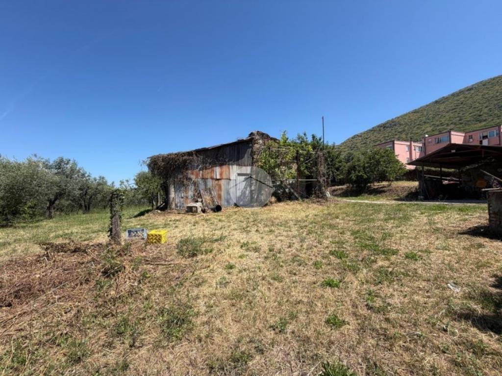 immagine annuncio 1 di 14