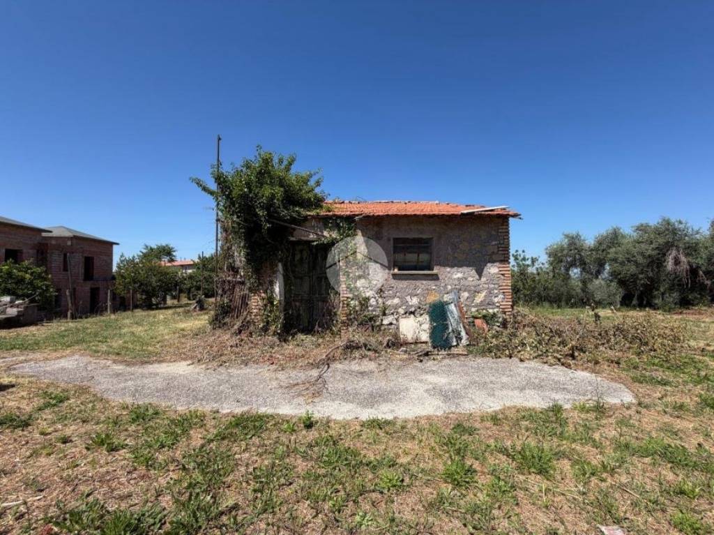 immagine annuncio 3 di 14