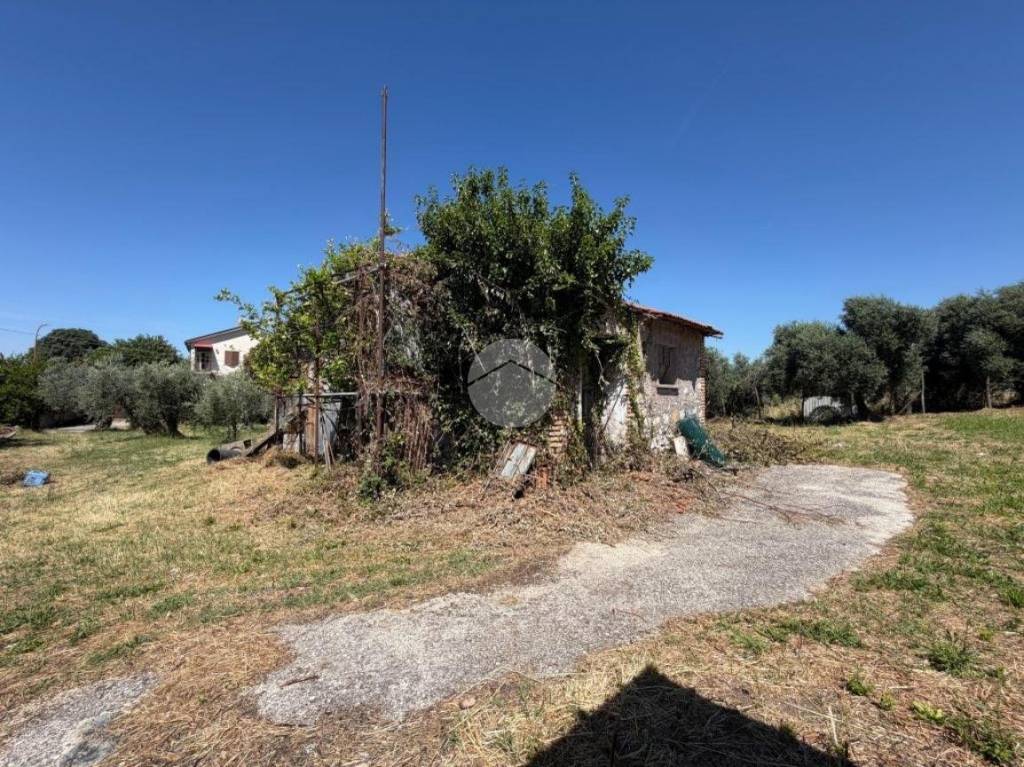 immagine annuncio 10 di 14