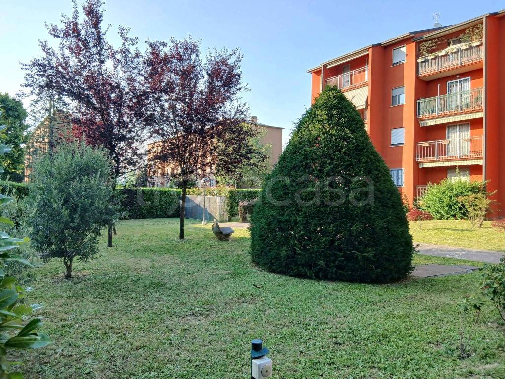 immagine annuncio 13 di 15