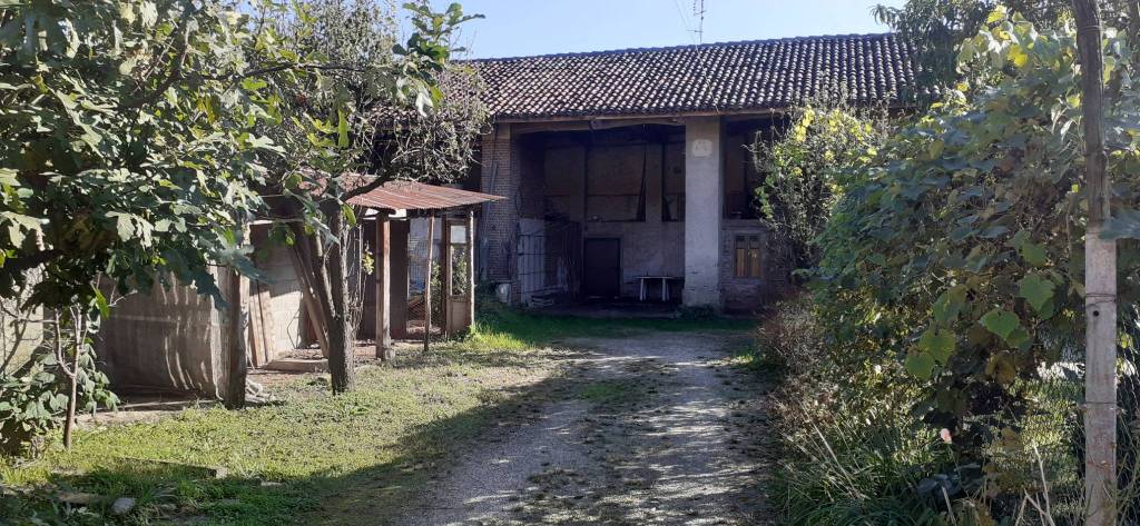immagine annuncio 11 di 15