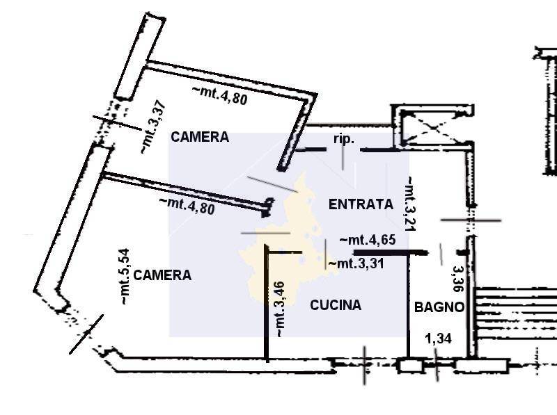 immagine annuncio 3 di 15
