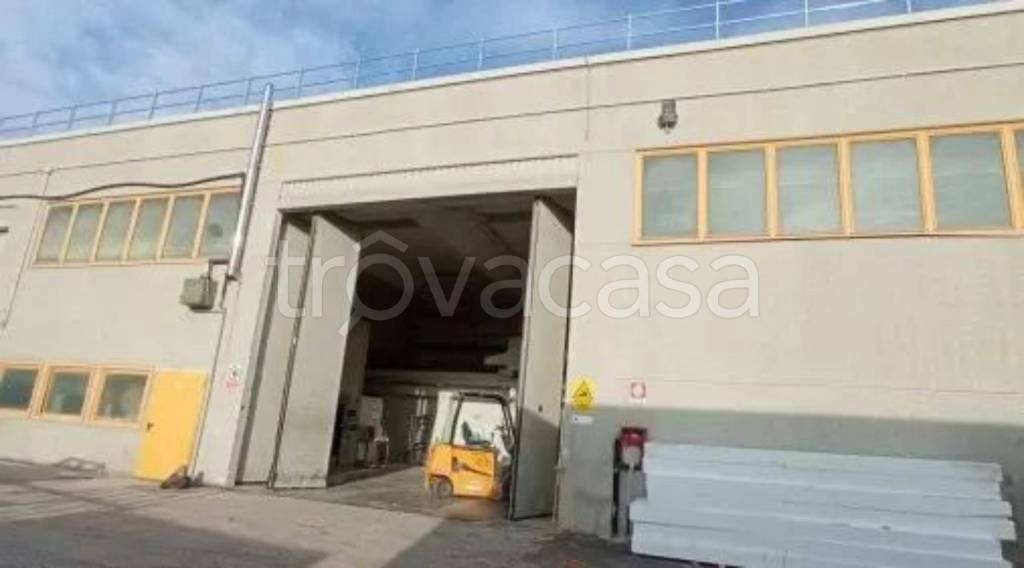 immagine annuncio 8 di 12