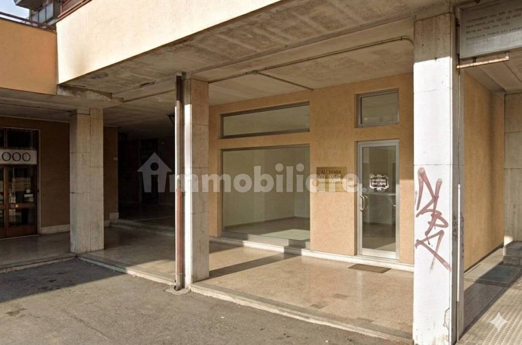 immagine annuncio 5 di 14
