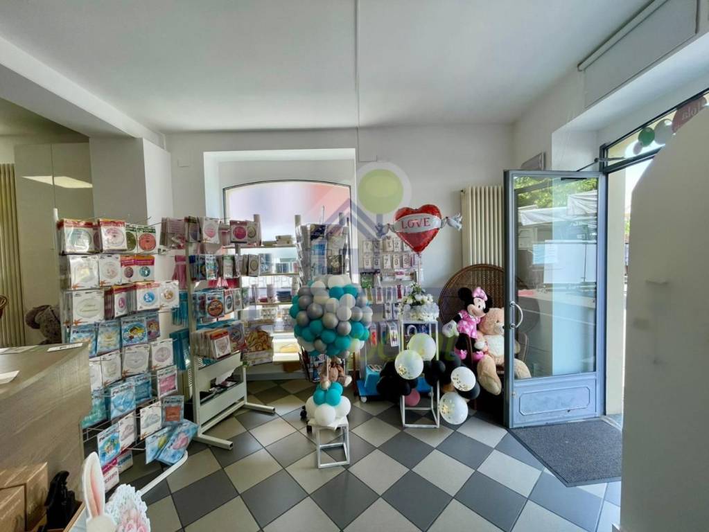 immagine annuncio 9 di 15