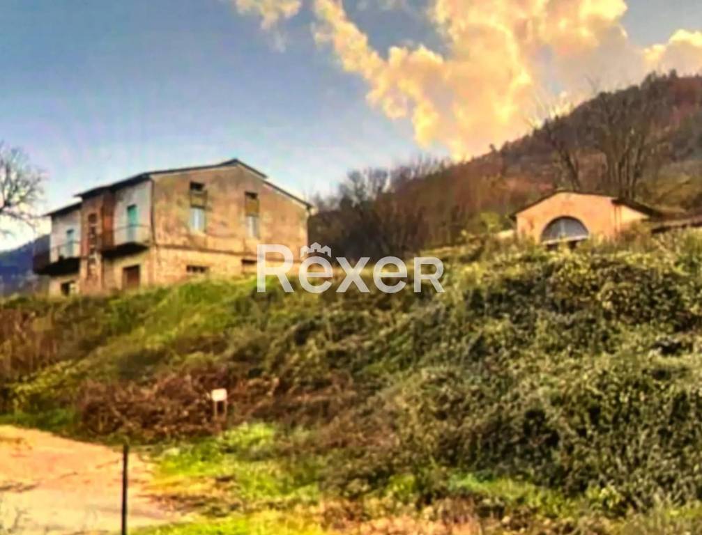 immagine annuncio 2 di 6