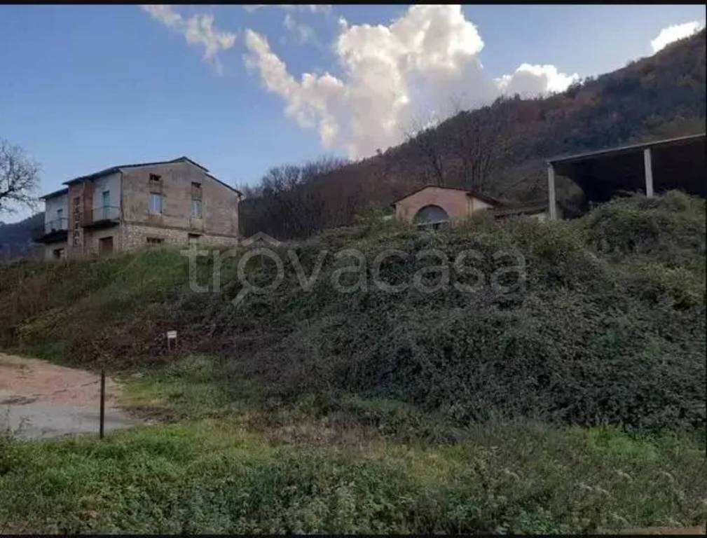 immagine annuncio 3 di 6