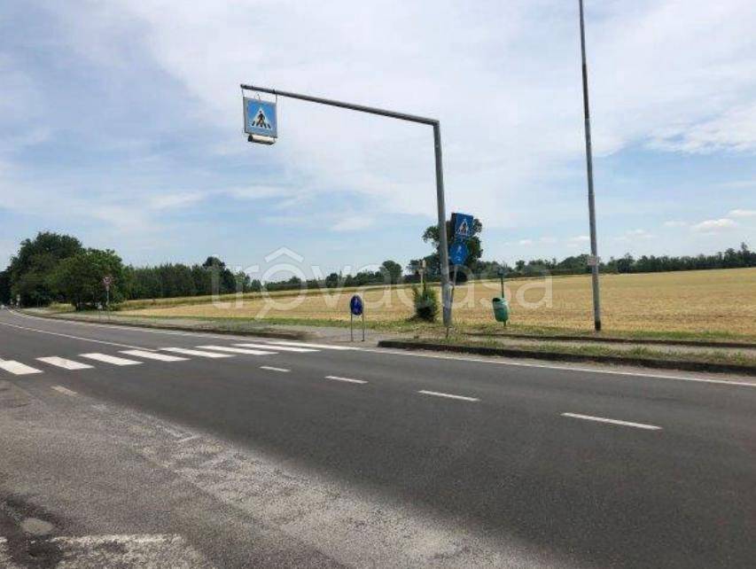 immagine annuncio 2 di 13