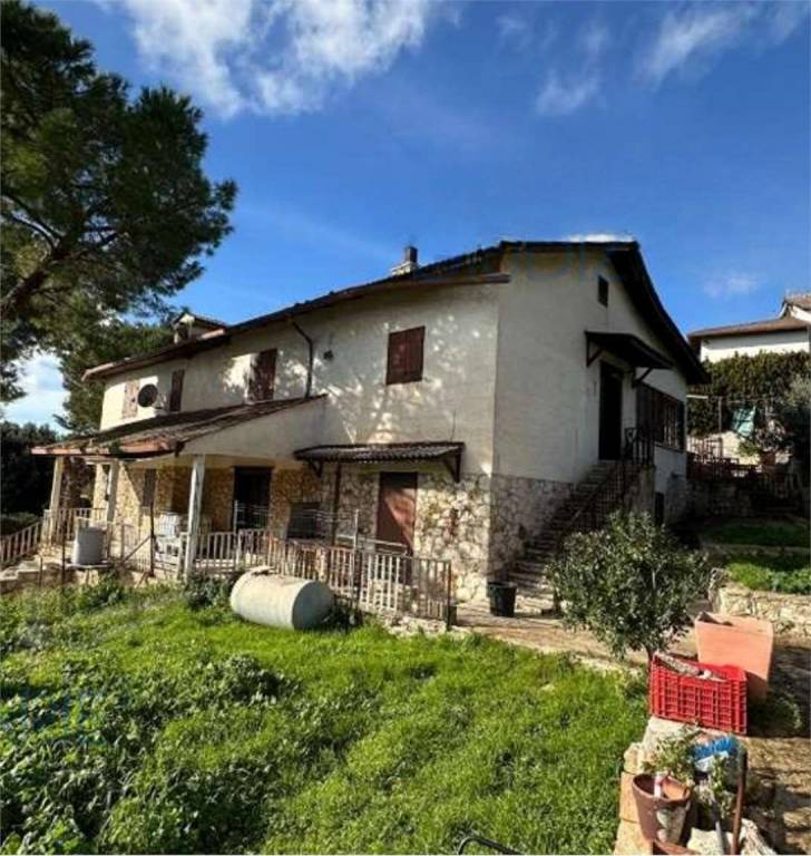 immagine annuncio 3 di 12