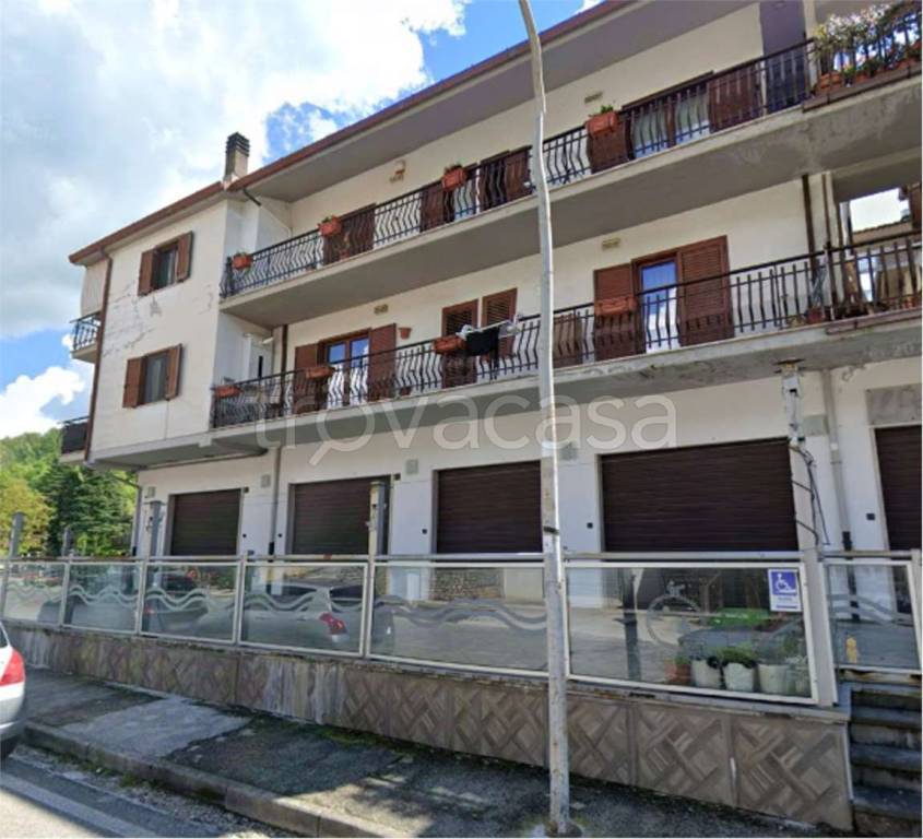 immagine annuncio 5 di 14
