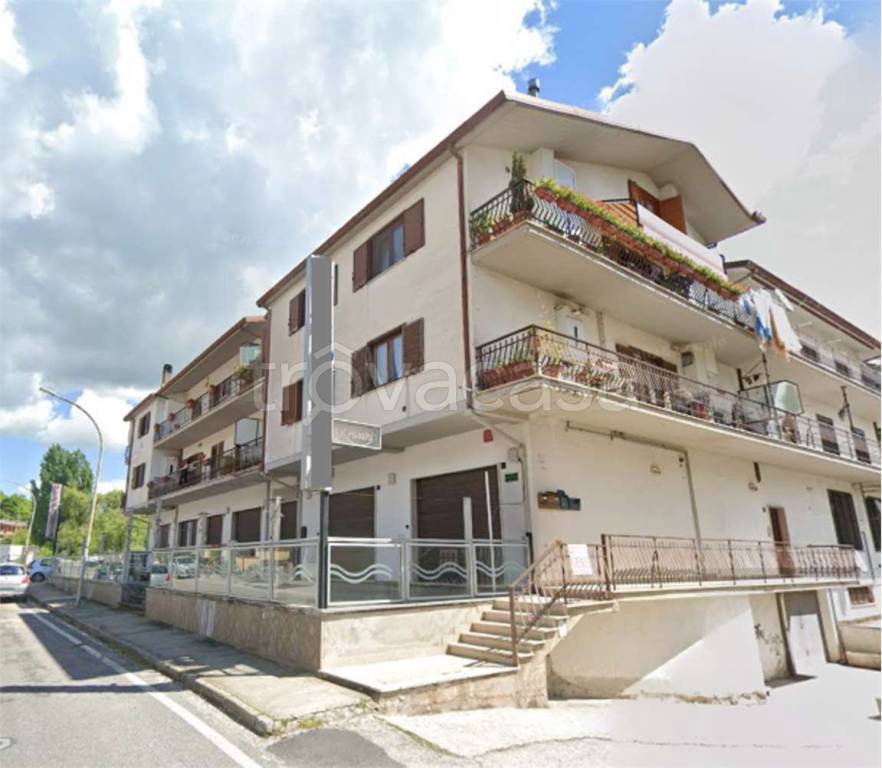 immagine annuncio 11 di 14
