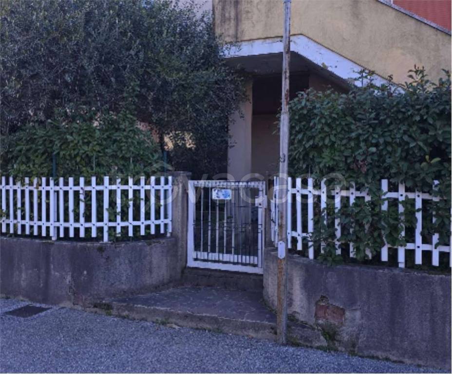 immagine annuncio 2 di 12