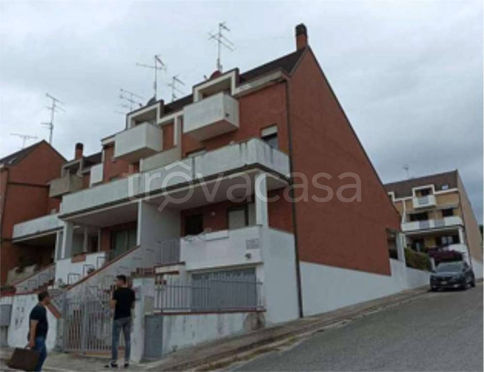 immagine annuncio 11 di 14
