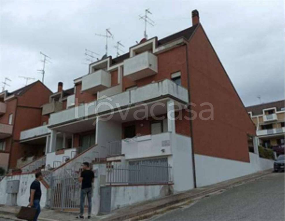 immagine annuncio 13 di 14