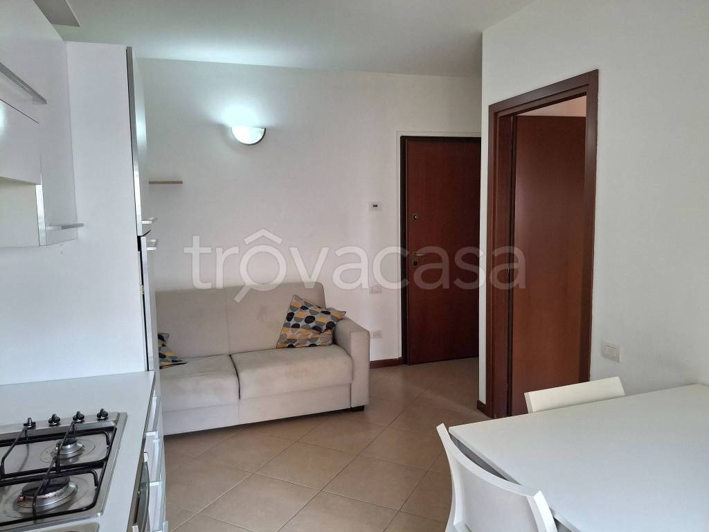 immagine annuncio 2 di 14