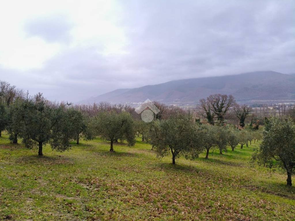 immagine annuncio 2 di 8