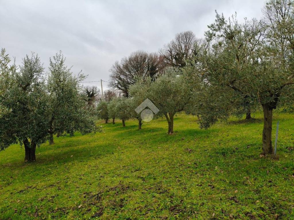 immagine annuncio 4 di 8