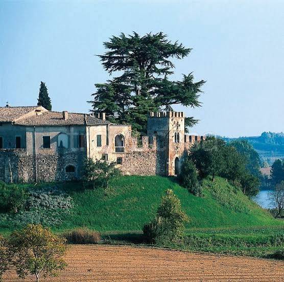 immagine annuncio 11 di 14